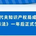 马尔代夫知识产权局成立!《商标法》一年后正式生效!