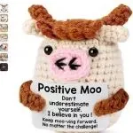 四起商标TRO案涉及跨境爆款：这些关键词不能出现了！