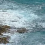 TikTok美国事件尘埃落定，周受资发布内部信