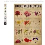 又来四起版权TRO! 这20幅小众图片也容易踩雷的