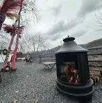 又一个美国本土平台火了！中国玄学出海，正在狂赚美国人的情感经济！