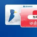 探索奥地利 EPR：为何您的企业必须遵守？