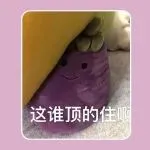 TikTok Pay打通交易闭环，卖家迎来新机遇？泰国新规拉响合规警报！