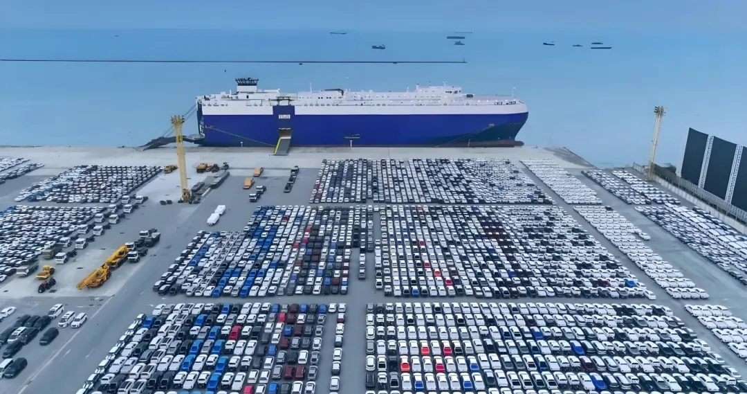 国货之光“驶向”中亚，专业物流如何护航？