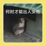 旺季变淡季？Temu流量暴跌超80%，亚马逊圣诞特卖也遇冷！