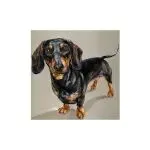 【侵权快讯】25-cv-15493 120家店铺中招！这张油画风格腊肠犬正在维权，速排查下架！