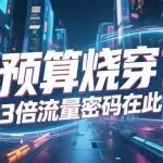 站内广告烧穿预算？非标品站外投放流量暴涨！