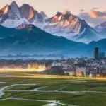 二手需求大涨！在这个美国平台上卖特产，10单就赚了3100美金！