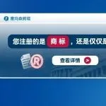 您注册的是商标，还是仅仅是文字？