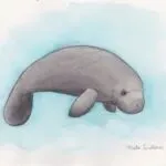 【25-cv-15490】103家跨境店中招！1张海牛插画TRO维权，Marta Dalloul作品侵权风险高！