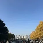 重磅！Etsy重启中国大陆入驻通道？卖家当天开店隔天5单！