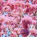 从穿透卡阻到韧性破局:穿透式监管如何重构国企合规生命线