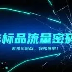 非标品爆单：不卷价格，只抓流量