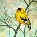 下架！下架！下架！这些图片都是侵权雷区，快速查