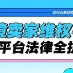 跨境侵权维权全攻略:从证据收集到法律追责,卖家必备指南!