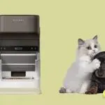 海外年销破亿，这款中国出海的宠物智能产品为何成欧美中产的养宠标配？