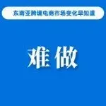 东南亚电商市场悖论:规模越来越大,卖家生存空间越来越小