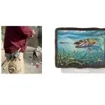 最新风险风向标:喂鸟器、鱼竿套、鱼艺插画、钩针乌龟TRO案件合集预警!助您提前规避账户风险!