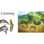 【侵权快讯】25-cv-7213 Temu卖家天塌了！有588家店铺因为这19张图+1商标被起诉，速看避雷！