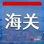 货代注意！这类货物已成“高压线”，海关连续查获同类走私案！