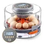 鸡蛋孵化器-跨境选品-美国发明专利