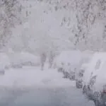 德迅预警！欧洲多个港口出现严重的运营中断！