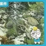 【25-cv-15682】31家店铺涉案!Keith 律所发起版权 TRO,西部风格艺术作品成维权重灾区!