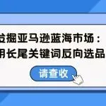 发掘亚马逊蓝海市场：用长尾关键词反向选品