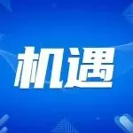 不是亚马逊！入驻不足2年卖家月销300万美元！