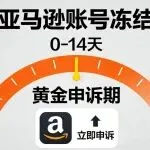紧急!亚马逊账号冻结黄金申诉期,这样做成功率翻倍