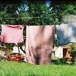 全球洗衣护理市场分析及趋势预测