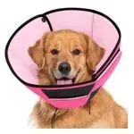 宠物保护项圈-跨境选品-美国发明专利