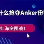 案例拆解:亚马逊红海,INIU凭什么抢夺Anker份额?