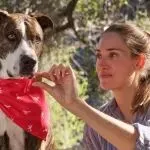 PetLab Co :老年宠物保健品年销2亿美元!