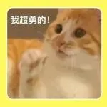 捷报！TikTok Shop美区大促GMV全线暴涨，2026全托管招商已启动！