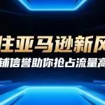 亚马逊详情页突发变动：卖家转化率要变天？
