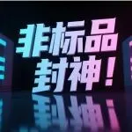 站内烧钱不转化？非标品躺赢爆单！