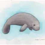 Keith发起新的版权诉讼,被告网店有102家