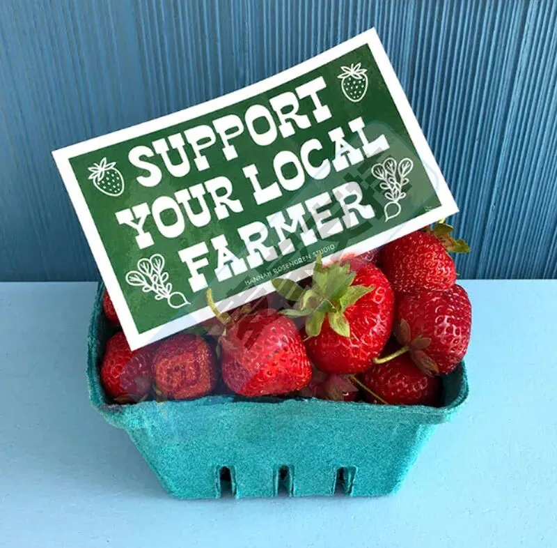 6-cv-00341，Keith律所出击，70跨境店或因拯救蜜蜂版权中招TRO！"