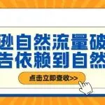 亚马逊自然流量破局：从广告依赖到自然增长