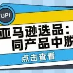 亚马逊选品：如何在相同产品中脱颖而出