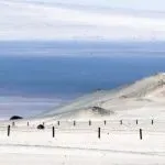 震惊！有一个跨境平台每周订单超190万单，年销售额突破1400亿！