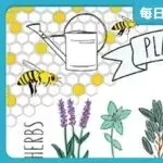 【26-cv-341】一张蜜蜂植物插画告70家跨境店铺，Hannah Mae Rosengren发起版权侵权TRO诉讼！