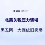 关税暴涨 1200 亿，黑五网一却卖爆！2025 美国电商的 “抗压密码”，跨境卖家必看