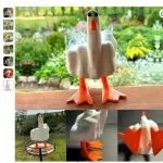 立即下架！28家店铺因一只鸭子被冻！跨境卖家速速排查避雷！