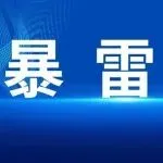 隐匿2.57亿收入！一跨境公司“注销跑路”失败！重罚！