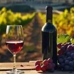 注意！特朗普称将对法国葡萄酒香槟加征200%关税！