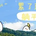 半年已过，第一批日本TikTok卖家，方向调整中