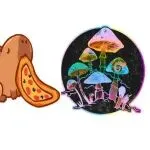 卡皮巴拉要上天,越可爱越危险!起诉跨境卖家不手软,名单均已公开!