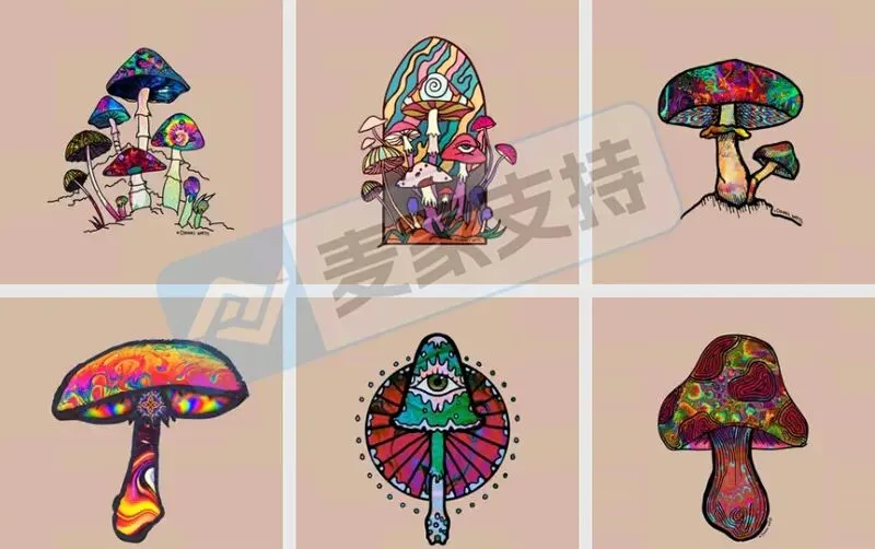 6-cv-00595,keith律所代理迷幻蘑菇跨境维权,88个跨境账户涉案将被TRO冻结!"